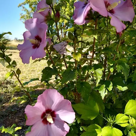 Chez Arpege Apartman