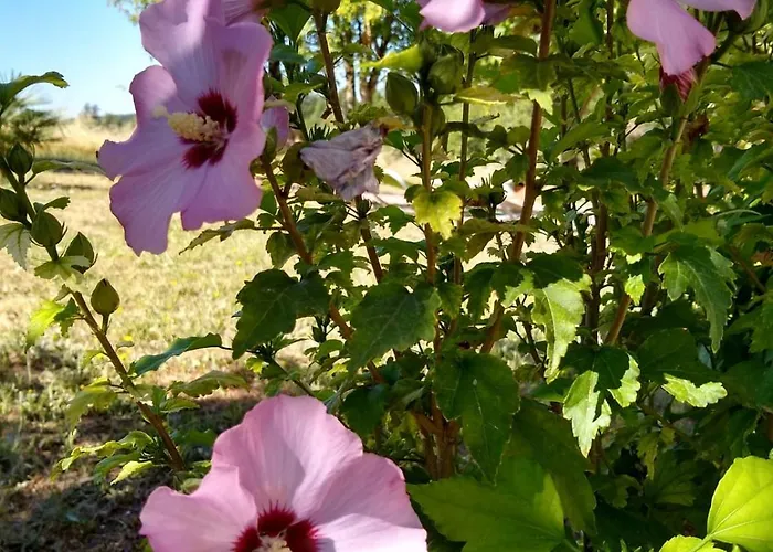 Chez Arpege Lejlighed